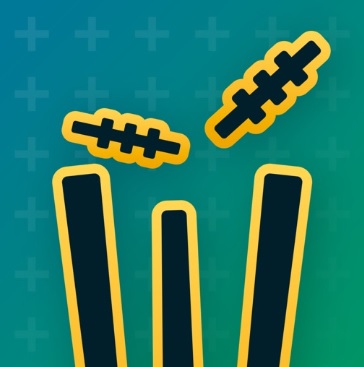 GullyCricket App Logo